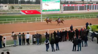 Doğan Kardeşler Seyhan Belediye Başkanlığı Koşusunu Kazandı