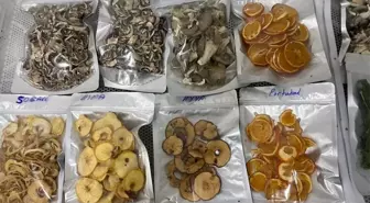 Samsun'un Terme ilçesinde sebze-meyve kurutma tesisi hizmete başladı