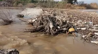 Büyük Menderes Nehri'ndeki Atıklar Sarıkemer Köprüsü'nü Tehdit Ediyor