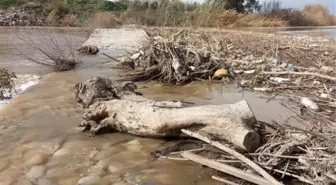Büyük Menderes Nehri'ndeki Atıklar Tarihi Köprüyü Tehdit Ediyor