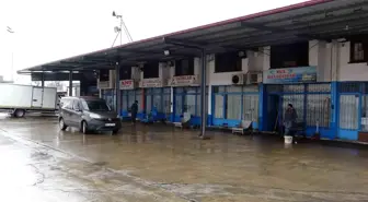 Trabzon Toptancı Balık Hali'nde İstavrit ve Hamsi Bolluğu Son Buldu