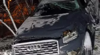 Ordu'da buzlanma nedeniyle meydana gelen kazada sürücü hayatını kaybetti