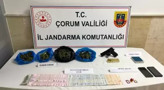 Çorum'da Uyuşturucu Operasyonu: 237 Gram Esrar Ele Geçirildi