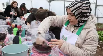 Diyarbakır Yenişehir Belediyesi'nden kadınlara teraryum eğitimi