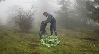 Kemalpaşa Belediyesi, Spil Dağı'ndaki Can Dostları İçin Yiyecek Dağıttı