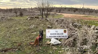 Mardin'de Yola Tuzaklanmış EYP İmha Edildi