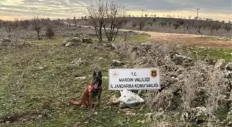 Mardin'de el yapımı patlayıcı imha edildi