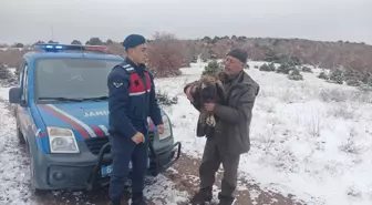 Yozgat'ta yaralı halde bulunan şah kartal tedavi altına alındı