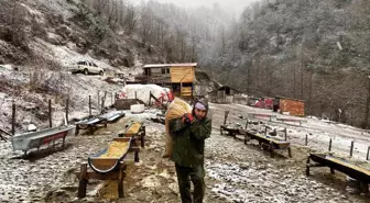 Artvin'de Koyun ve Keçilerde Çiçek Hastalığı Tespit Edildi