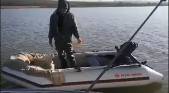 BÜYÜKÇEKMECE Gölü'nde kaçak balık avcılığı operasyonu