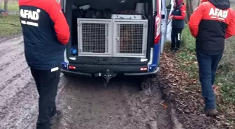 Çatalca'da Durusu Gölü'nde Tekne Alabora Oldu: Bir Kişi Kayboldu