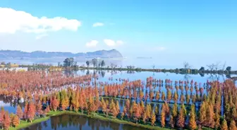 Nandianchi Ulusal Sulak Alan Parkı'ndan çeşitli görüntüler