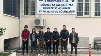 Hatay'da düzensiz göçmen operasyonu: 12 göçmen yakalandı, 1 şüpheli tutuklandı