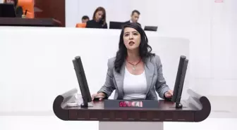 Emek Partisi Milletvekili Sevda Karaca, Yedikule Göğüs Hastalıkları Hastanesi'nde yaşanan cinsel saldırı iddiasını Meclis gündemine taşıdı