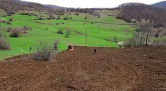 Ordu'da Nitelikli Tarım Projeleriyle Atıl Arazi Üretimde Değerlendirildi