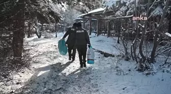 Yozgat Emniyet Müdürlüğü, Sokak ve Yaban Hayvanlarına Yiyecek Bıraktı