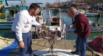 Akçakoca'da Hamsi Avcılığı Azaldı