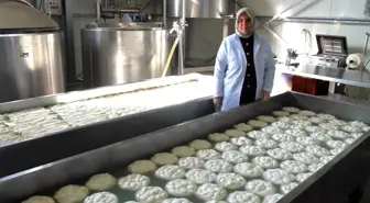Düzce İl Tarım ve Orman Müdürü Esra Uzun, Kırsal Kalkınma Yatırımları için Başvuruların Devam Ettiğini Söyledi