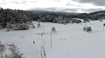 Kastamonu Araç Yayla Kış Festivali'nde Doğa ve Eğlence Bir Arada