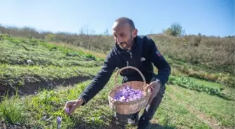 İhtisas üniversiteleri marka olmak için yarışıyor