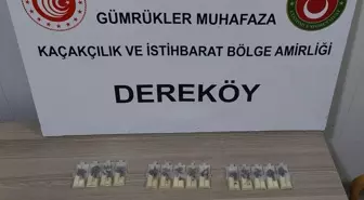 Kırklareli'nde Yasa Dışı Yollarla Kraliçe Arı Getiren Sanık Yargılanacak