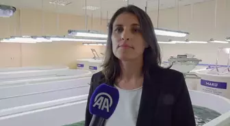 MAKÜ'de Mikroalg Üretimiyle Yüksek Proteinli Kanatlı Hayvan Yemi Üretimi Hedefleniyor
