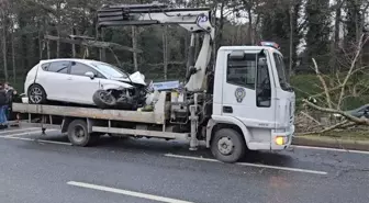 Sarıyer'de otomobil ağaca çarptı, ağaç yerinden söküldü