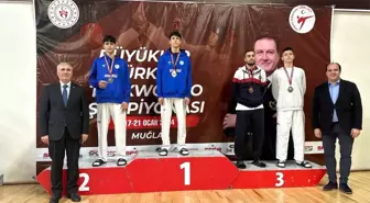 Türkiye Taekwondo Şampiyonası'nda DEPSAŞ Enerji Sporcuları Başarılı Oldu