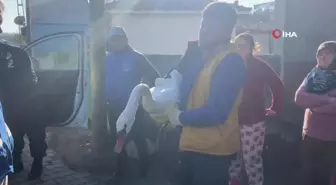 Yaralı peçeli baykuş ve kuğu jandarma tarafından koruma altına alındı