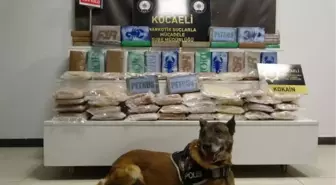 Edirne'de 109 Kilo Kokain Ele Geçirildi, Şoför Tutuklandı