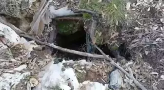 Diyarbakır'da PKK'ya ait 10 sığınak ve 2 mağara tespit edildi