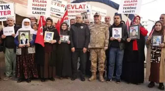 Diyarbakır'da terör mağduru aileleri ziyaret eden İl Jandarma Komutanı ve İl Emniyet Müdürü açıklamalarda bulundu