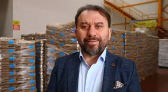 Türk Firması Tarafından Geliştirilen Yerli Hibrit Ayçiçeği Tohumu Rusya'ya İhraç Ediliyor