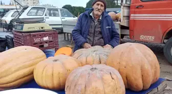 Kahramanmaraş'ta 71 yaşındaki adam 50 yıldır bal kabağı satarak geçimini sağlıyor