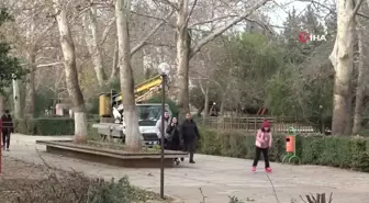 Ağaçta 3 gündür mahsur kalan kediyi belediye ekipleri kurtardı