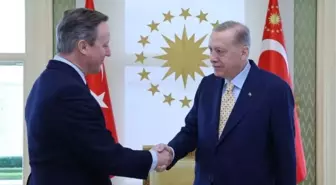 Cumhurbaşkanı Erdoğan, Birleşik Krallık Dışişleri Bakanı Cameron'u Kabul Etti