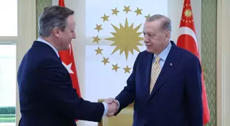 Cumhurbaşkanı Erdoğan, İngiltere Dışişleri Bakanı Cameron ile Görüştü