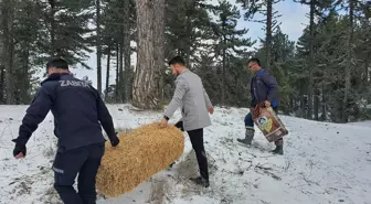 Demirci'de Kar Yağışının Ardından Yaban Hayvanlarına Yem Bırakıldı