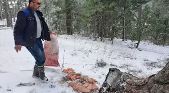 Demirci Belediyesi, Kar Yağışının Ardından Yaban Hayvanlarına Yem Bıraktı