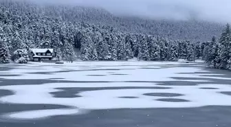 Kartalkaya ve Gölcük Tabiat Parkı'nda Kar Yağışı