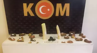 Konya'da Kaçakçılık Operasyonunda 13 Zanlı Gözaltına Alındı