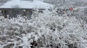 Mardin'de mevsimin ilk karı yağdı