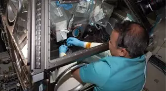 Türkiye'nin ilk astronotu Alper Gezeravcı, Uluslararası Uzay İstasyonu'nda deneylerine devam ediyor