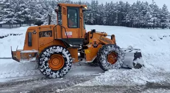 Ardahan'da kar ve tipi nedeniyle kapanan 207 köy yolu yeniden ulaşıma açıldı