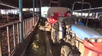 Hayvancılıkla uğraşan çiftçiler maliyetlerin artmasıyla zor durumda