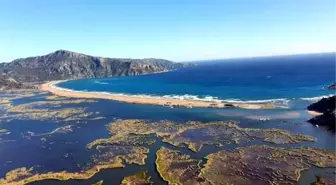 Dalyan'da Deniz Kaplumbağaları Koruma ve İzleme Projesi Sonuçları Açıklandı