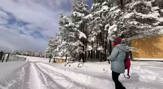 Düzce'nin Topuk Yaylası Göleti Buzla Kaplandı