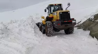 Doğu Anadolu'da Kar ve Tipi Nedeniyle Yüzlerce Yol Ulaşıma Kapandı