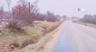 Kırklareli'nde lapa lapa kar yağdı