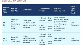 Maden Tetkik ve Arama Genel Müdürlüğü Analiz Fiyatlarını Yüzde 400 Artırdı